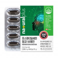 징코브레인 포스파티딜세린