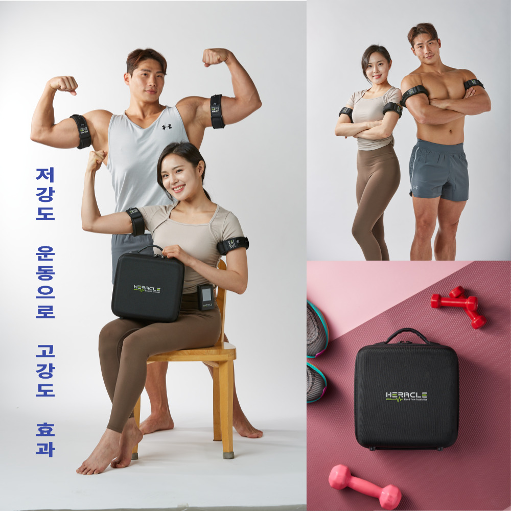 헤라클(혈류조절운동기구)