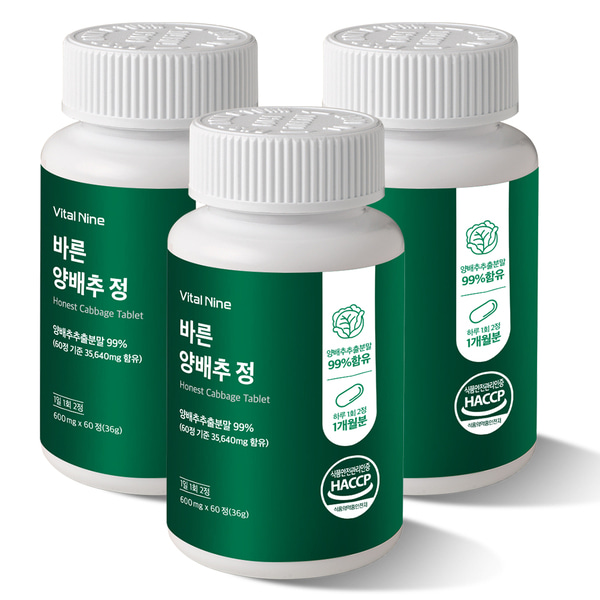 꽉 채운 양배추